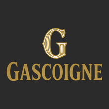 Paul Gascoigne Logo Players Couture Men's Casual Hoodie