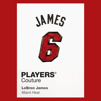 LeBron James 6 Jersey Frame - Icon Design