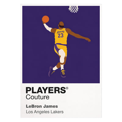 LeBron James Lakers Basketball Icon Frame - Icon Design