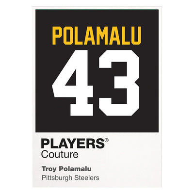 Troy Polamalu 43 Jersey Frame - Icon Design (View 8)