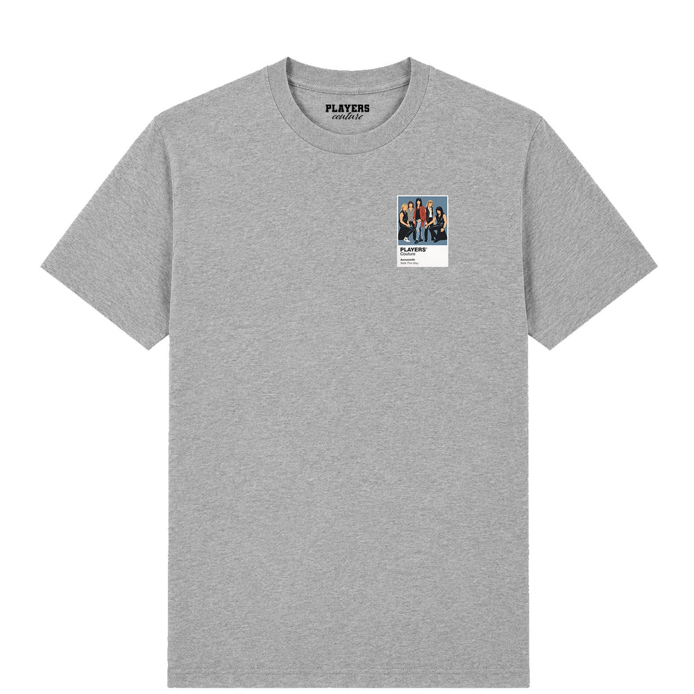Aerosmith Music men's T-shirt in grey