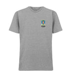 Alan Shearer World Cup t-shirt – grey men's t-shirt featuring the Alan Shearer World Cup Players Couture logo