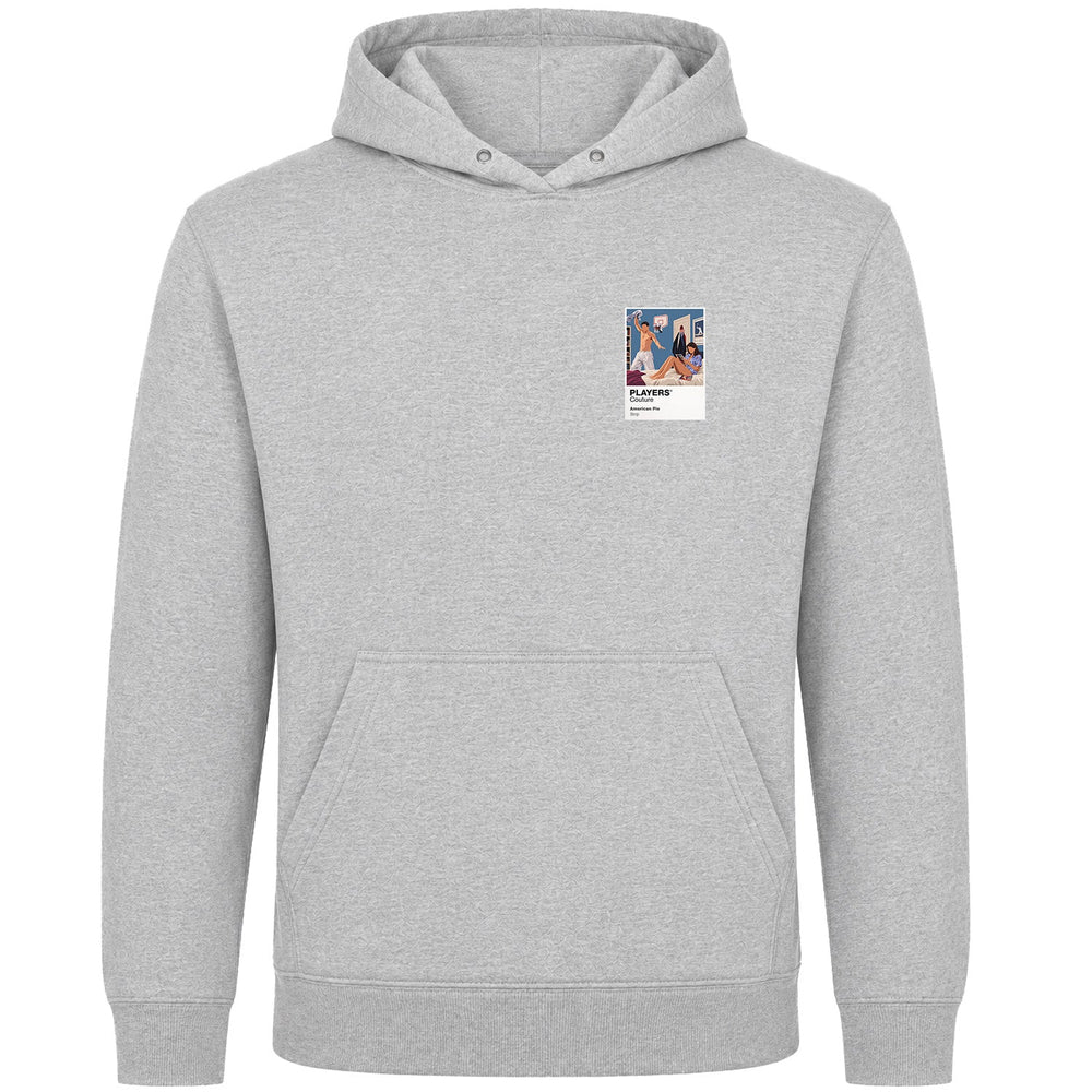 American Pie American Pie men's hoodie in grey