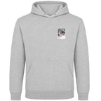 American Pie American Pie men's hoodie in grey