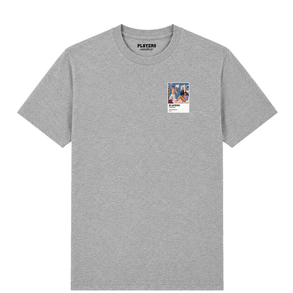 American Pie American Pie men's T-shirt in grey