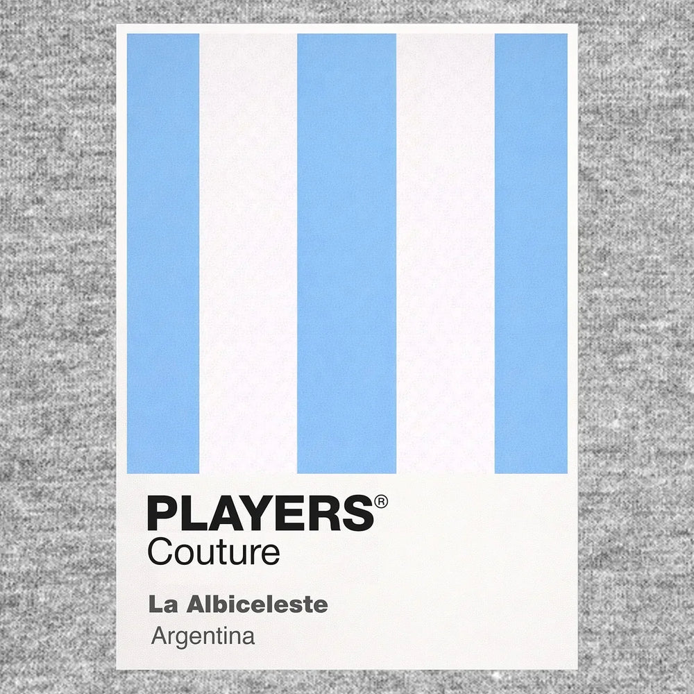 Argentina Classic Football Shirt Colours Frame Men's T-Shirt – grey close-up detail shot of the Argentina Players Couture