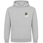 Argentina Logo Graffiti Frame Men's Hoodie - argentina graffiti frame mens grey hoodie