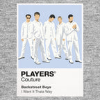 Backstreet Boys the five-member formation and coordinated Millennium-era styling Icon Frame artwork in grey
