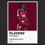 Bafétimbi Gomis Lyon Icon Frame artwork in black
