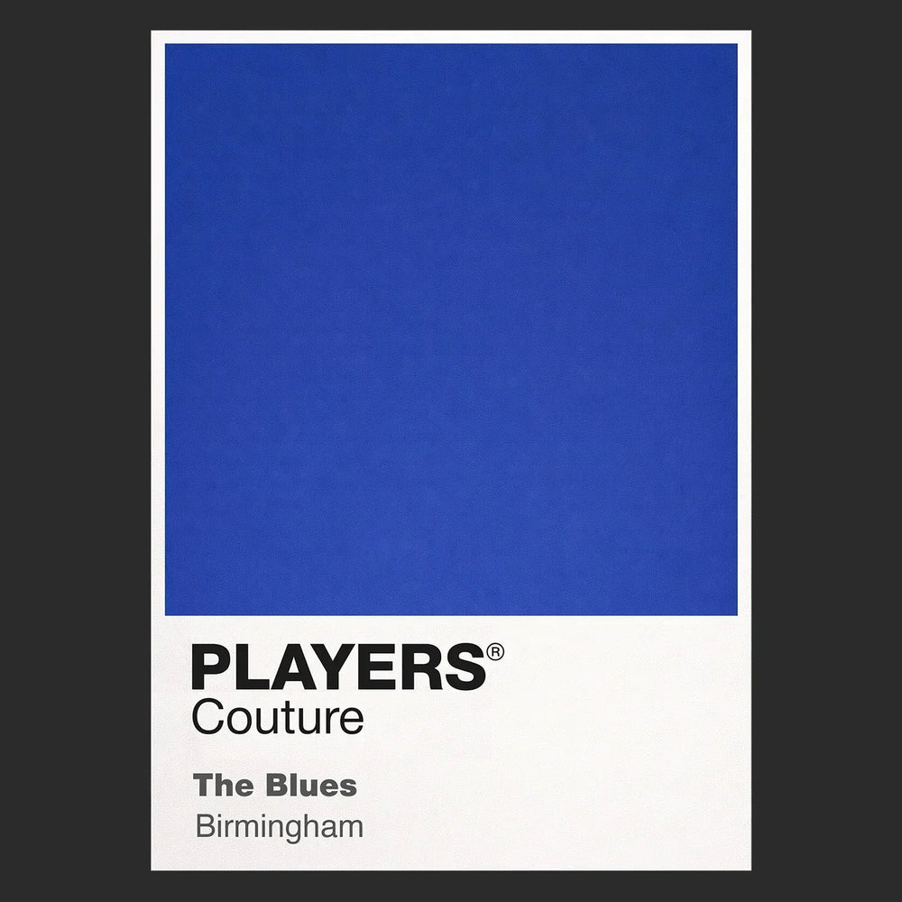 Birmingham City Classic Football Shirt Colours Frame Men's T-Shirt – black close-up detail shot of the Birmingham City