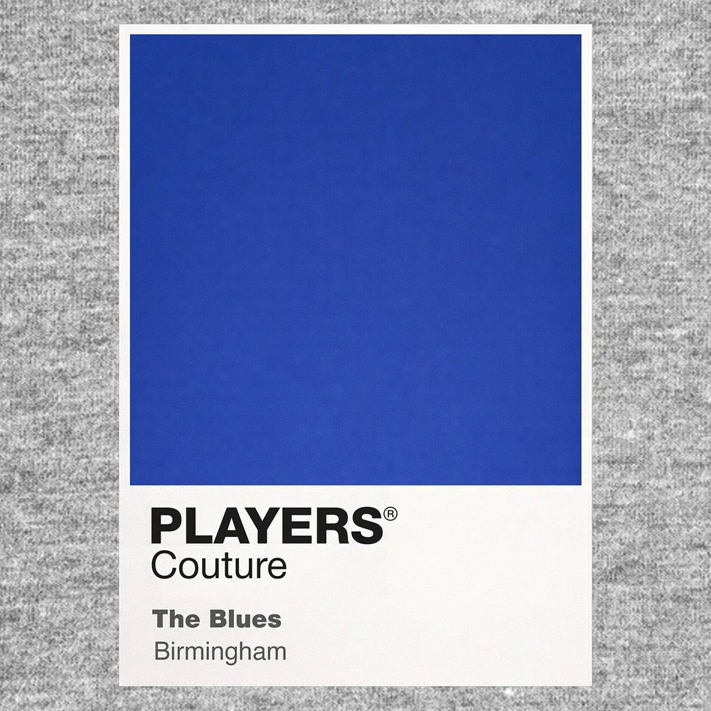 Birmingham City Classic Football Shirt Colours Frame Men's T-Shirt – grey close-up detail shot of the Birmingham City