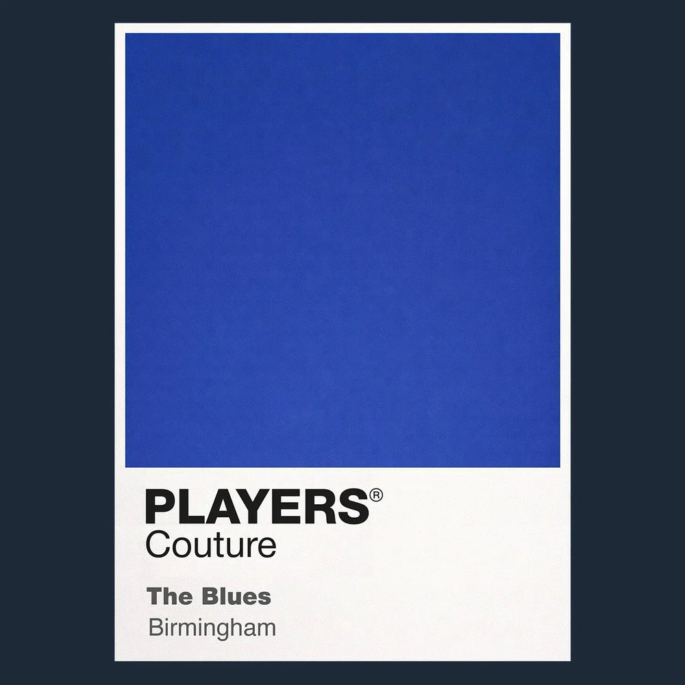 Birmingham City Classic Football Shirt Colours Frame Men's T-Shirt – navy close-up detail shot of the Birmingham City