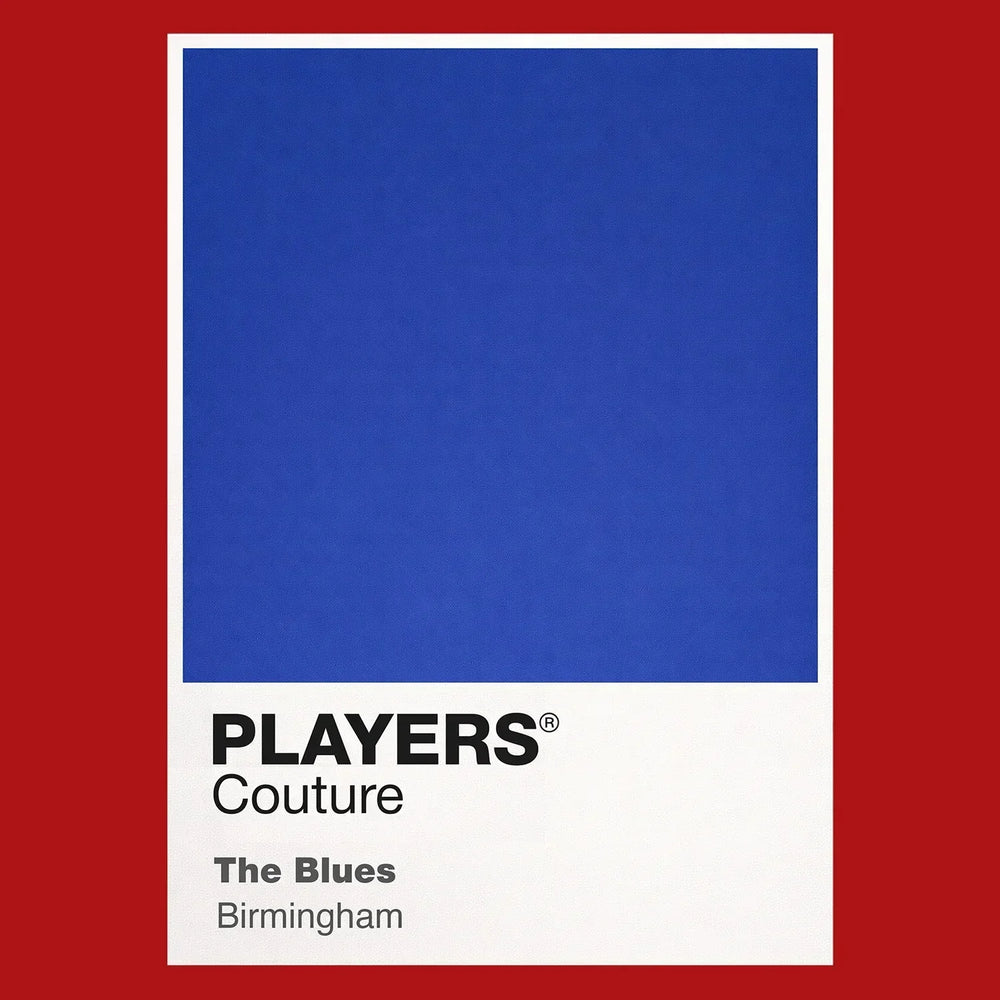 Birmingham City Classic Football Shirt Colours Frame Men's T-Shirt – red close-up detail shot of the Birmingham City Players