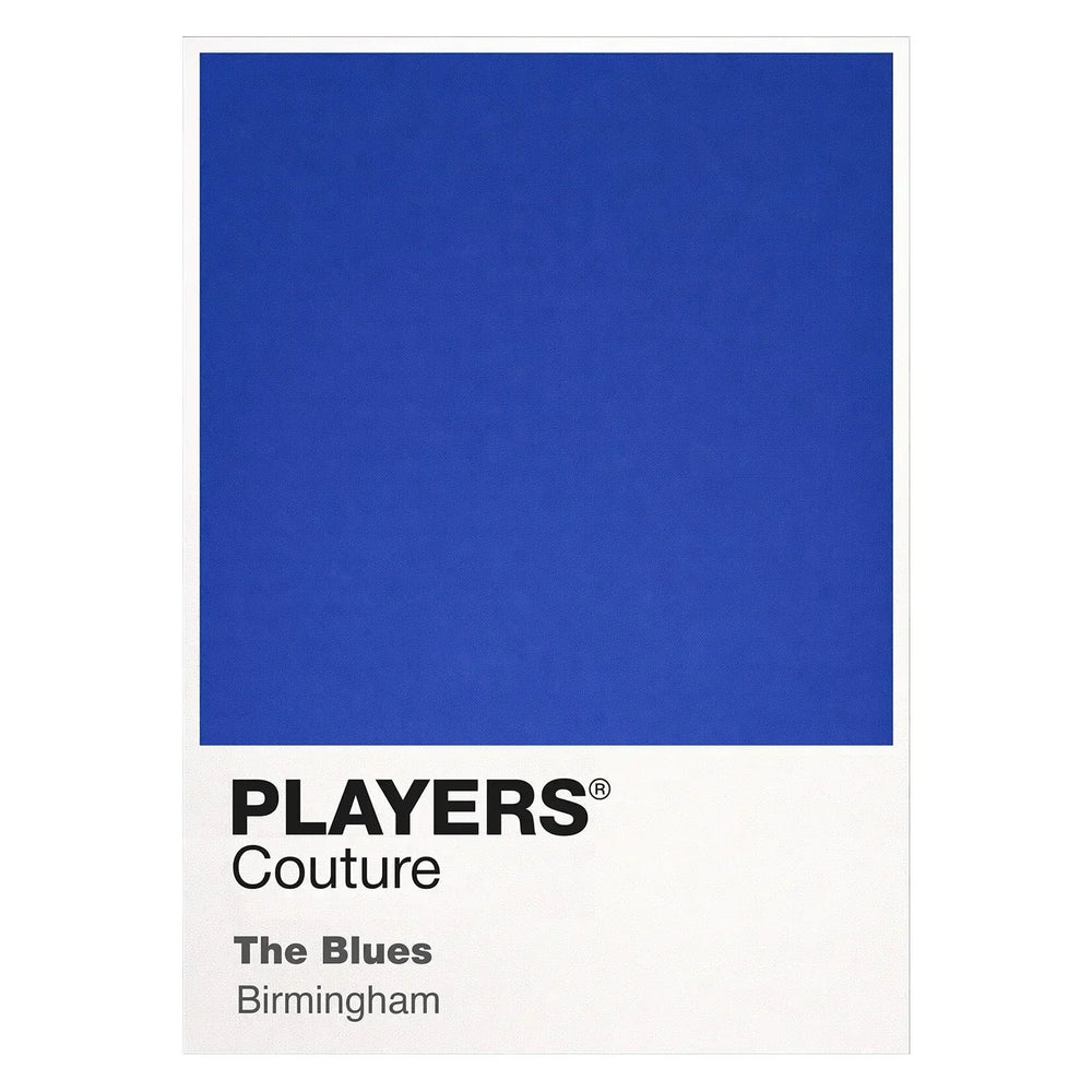 Birmingham City Classic Football Shirt Colours Frame Men's T-Shirt – white close-up detail shot of the Birmingham City