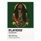 Bob Marley Bob Marley's locks, guitar and enduring Jamaican stage silhouette Icon Frame artwork on white