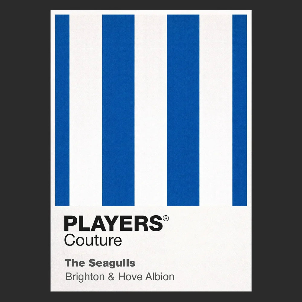Brighton & Hove Albion Classic Football Shirt Colours Frame Men's T-Shirt – black close-up detail shot of the Brighton &