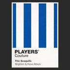 Brighton & Hove Albion Classic Football Shirt Colours Frame Men's T-Shirt – black close-up detail shot of the Brighton &