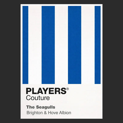 Brighton & Hove Albion Classic Football Shirt Colours Frame - Icon Design (View 6)
