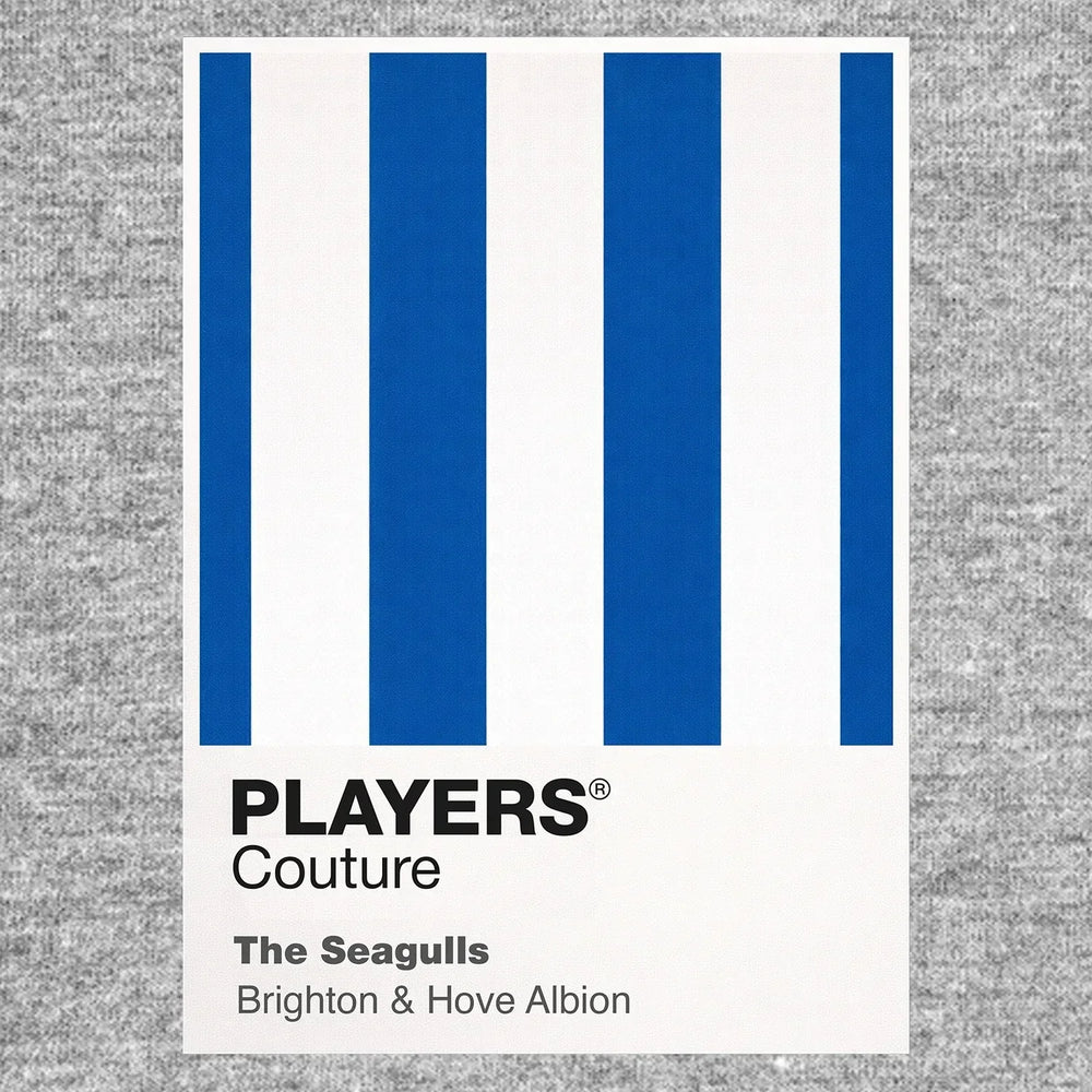 Brighton & Hove Albion Classic Football Shirt Colours Frame Men's T-Shirt – grey close-up detail shot of the Brighton & Hove