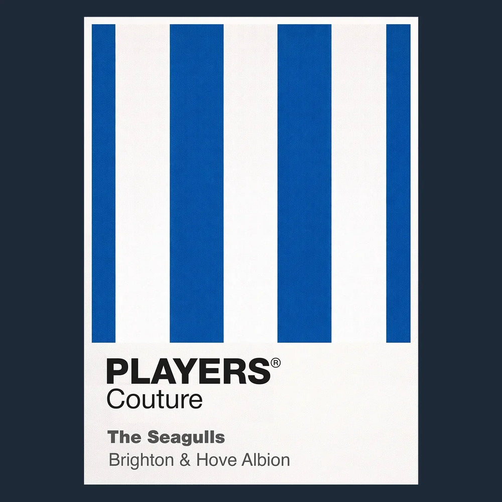 Brighton & Hove Albion Classic Football Shirt Colours Frame Men's T-Shirt – navy close-up detail shot of the Brighton & Hove