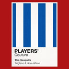 Brighton & Hove Albion Classic Football Shirt Colours Frame Men's T-Shirt – red close-up detail shot of the Brighton & Hove