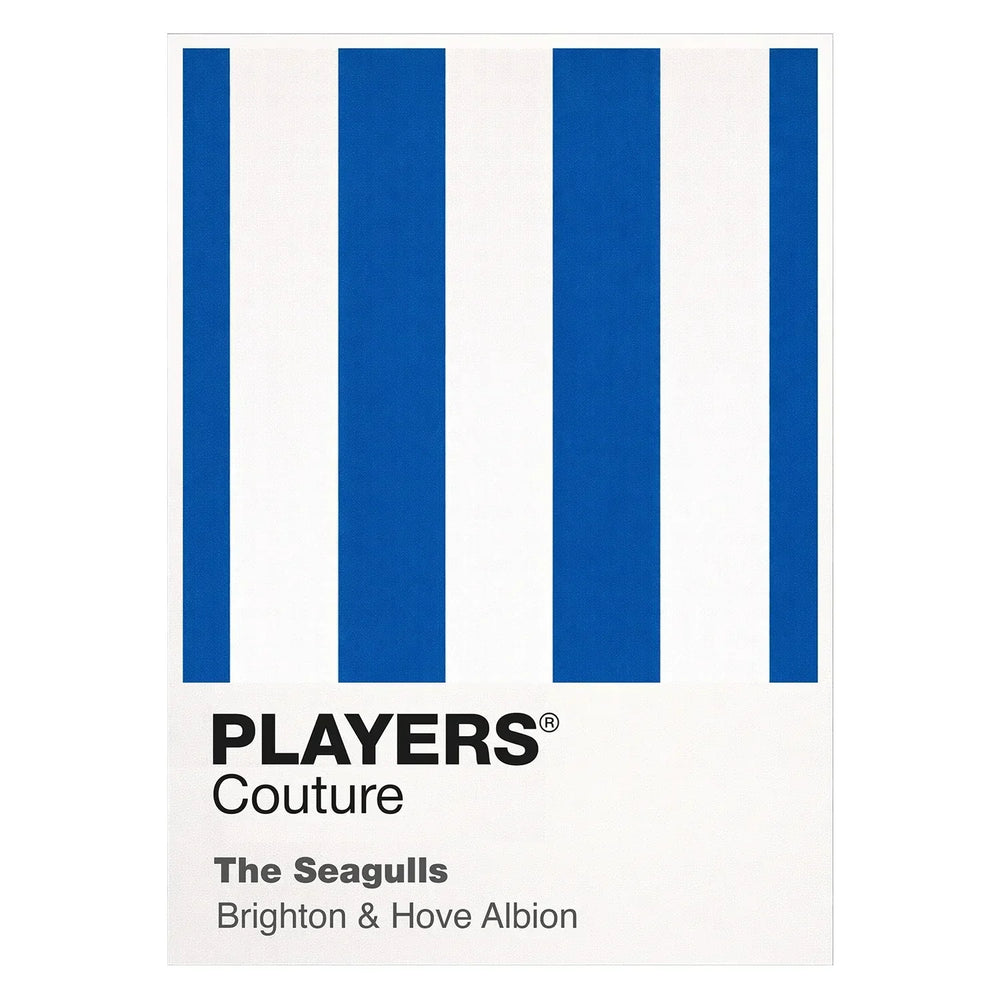 Brighton & Hove Albion Classic Football Shirt Colours Frame Men's T-Shirt – white close-up detail shot of the Brighton &