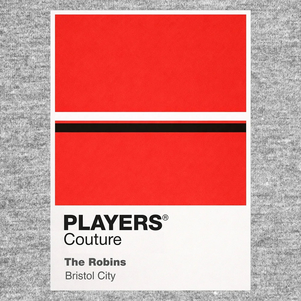 Bristol City Classic Football Shirt Colours Frame Men's T-Shirt – grey close-up detail shot of the Bristol City Players