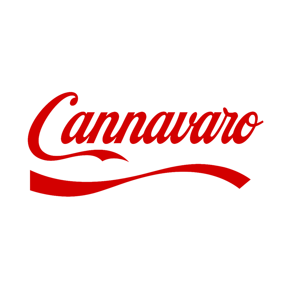 Fabio Cannavaro Logo Players Couture Men's Casual Hoodie