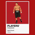 Carl Froch Boxing Icon Frame - Icon Design (View 9)