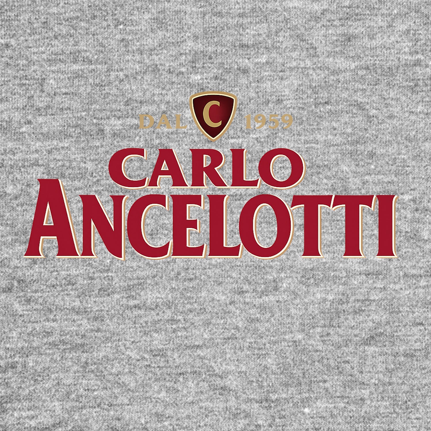 Carlo Ancelotti Logo Players Couture Men's Casual Hoodie