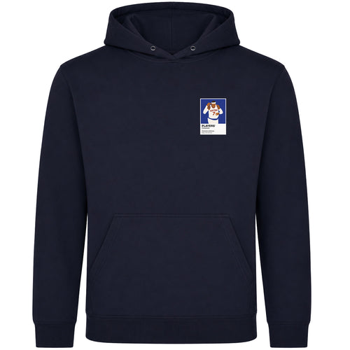 Carmelo Anthony Knicks Basketball Icon Frame Men's Hoodie - Navy