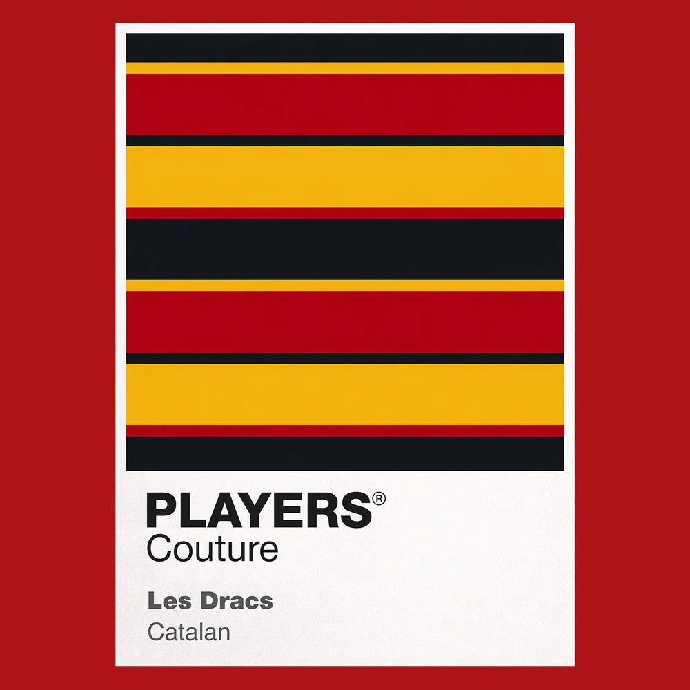 Catalans Dragons Classic Rugby League Shirt Colours Frame Men's Hoodie