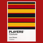 Catalans Dragons Classic Rugby League Shirt Colours Frame Men's Hoodie