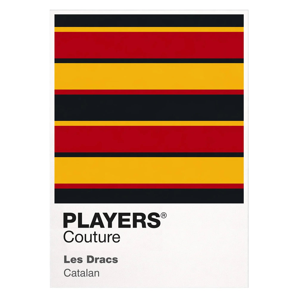 Catalans Dragons Classic Rugby League Shirt Colours Frame Men's Hoodie