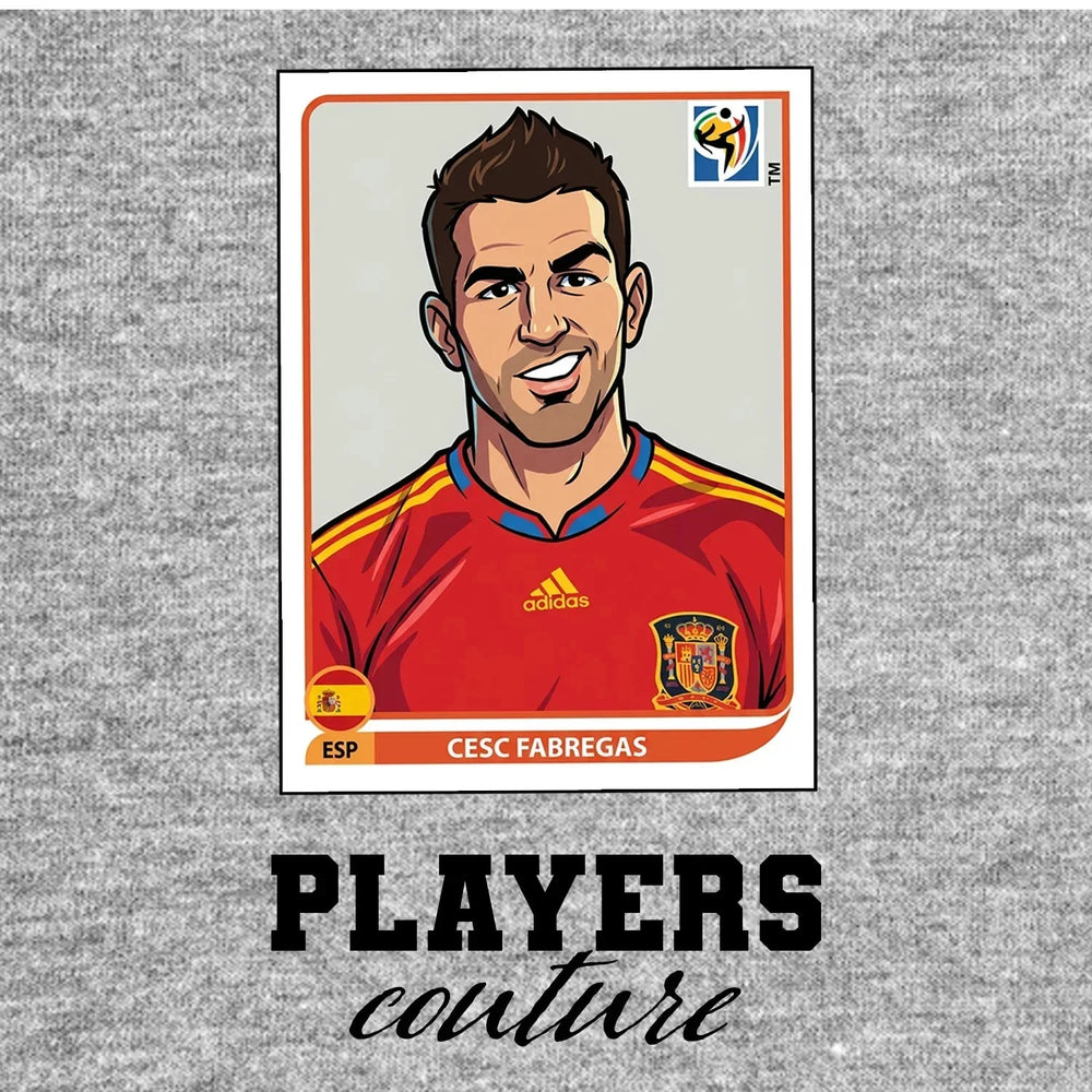 Cesc Fabregas World Cup Sticker Kids Hoodie – cesc fabregas grey Players Couture design