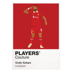 Cody Gakpo Liverpool Men's T-Shirt - White