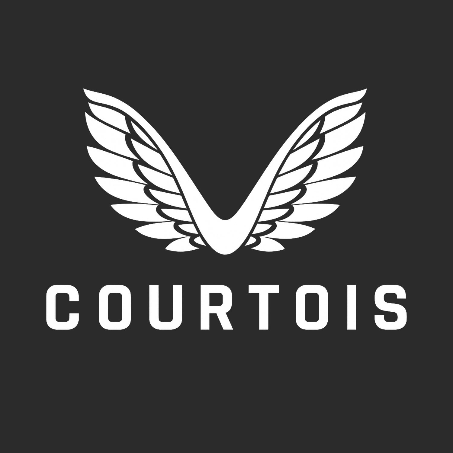 Thibaut Courtois Logo Players Couture Men's Casual Hoodie