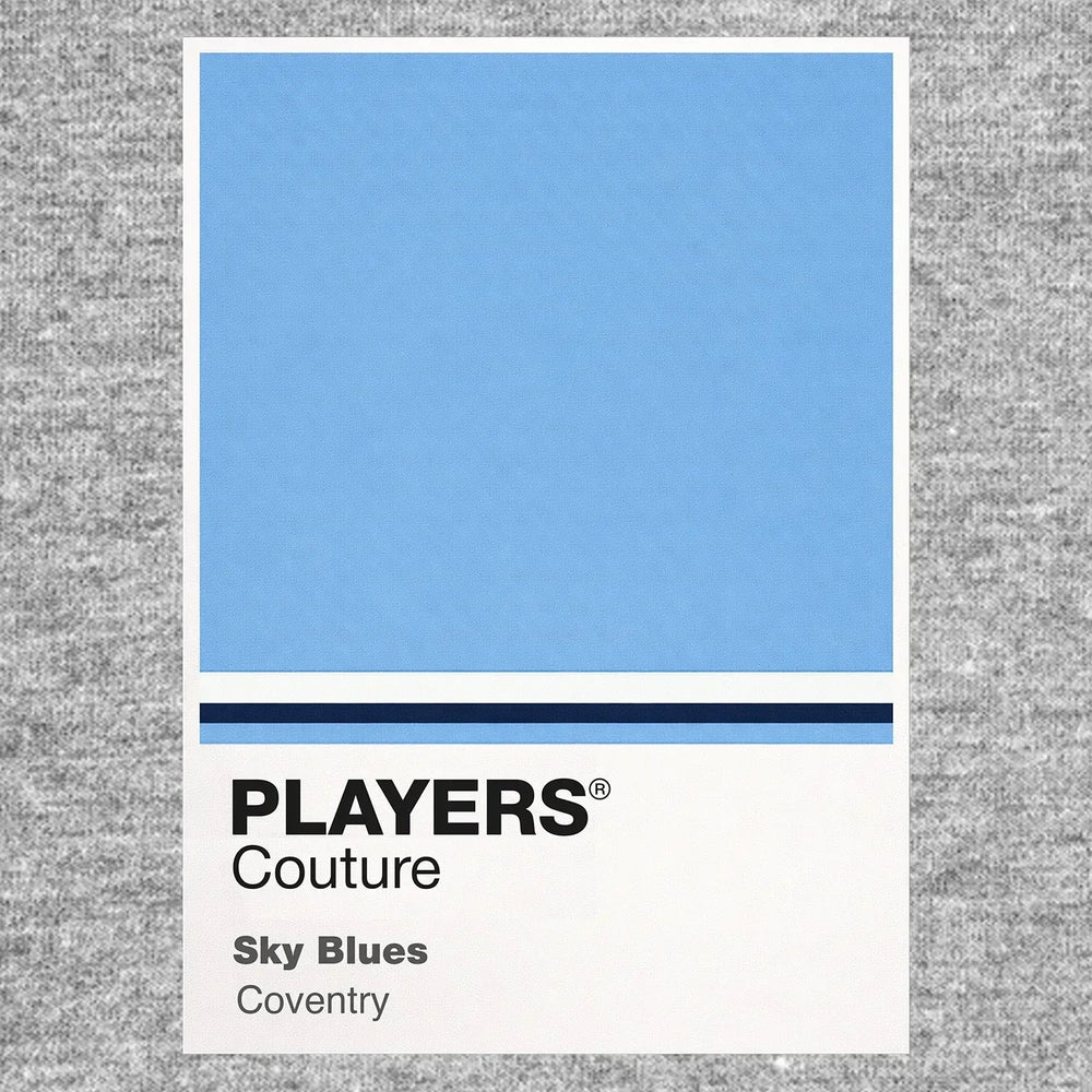 Coventry City Classic Football Shirt Colours Frame Men's T-Shirt – grey close-up detail shot of the Coventry City Players