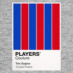 Crystal Palace Classic Football Shirt Colours Frame Men's T-Shirt – grey close-up detail shot of the Crystal Palace Players