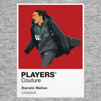 Darwin Nunez Celebration Liverpool Icon Frame Men's Hoodie