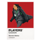 Darwin Nunez Celebration Liverpool Icon Frame Men's Hoodie
