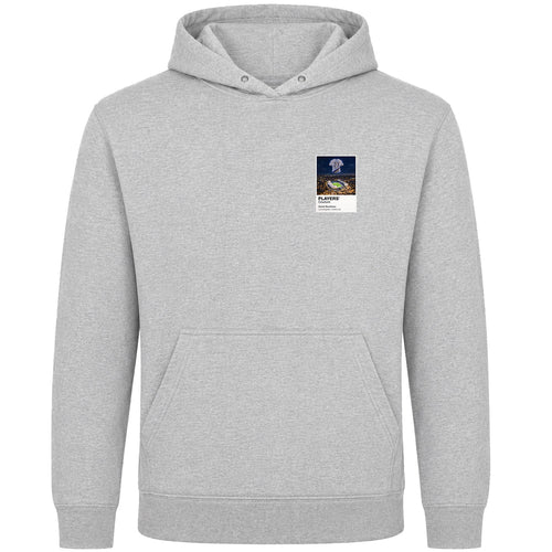 David Beckham LA Galaxy Icons in Lights Frame Men's Hoodie in Gray