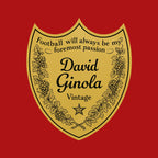 David Ginola Logo Players Couture Men's Casual Hoodie