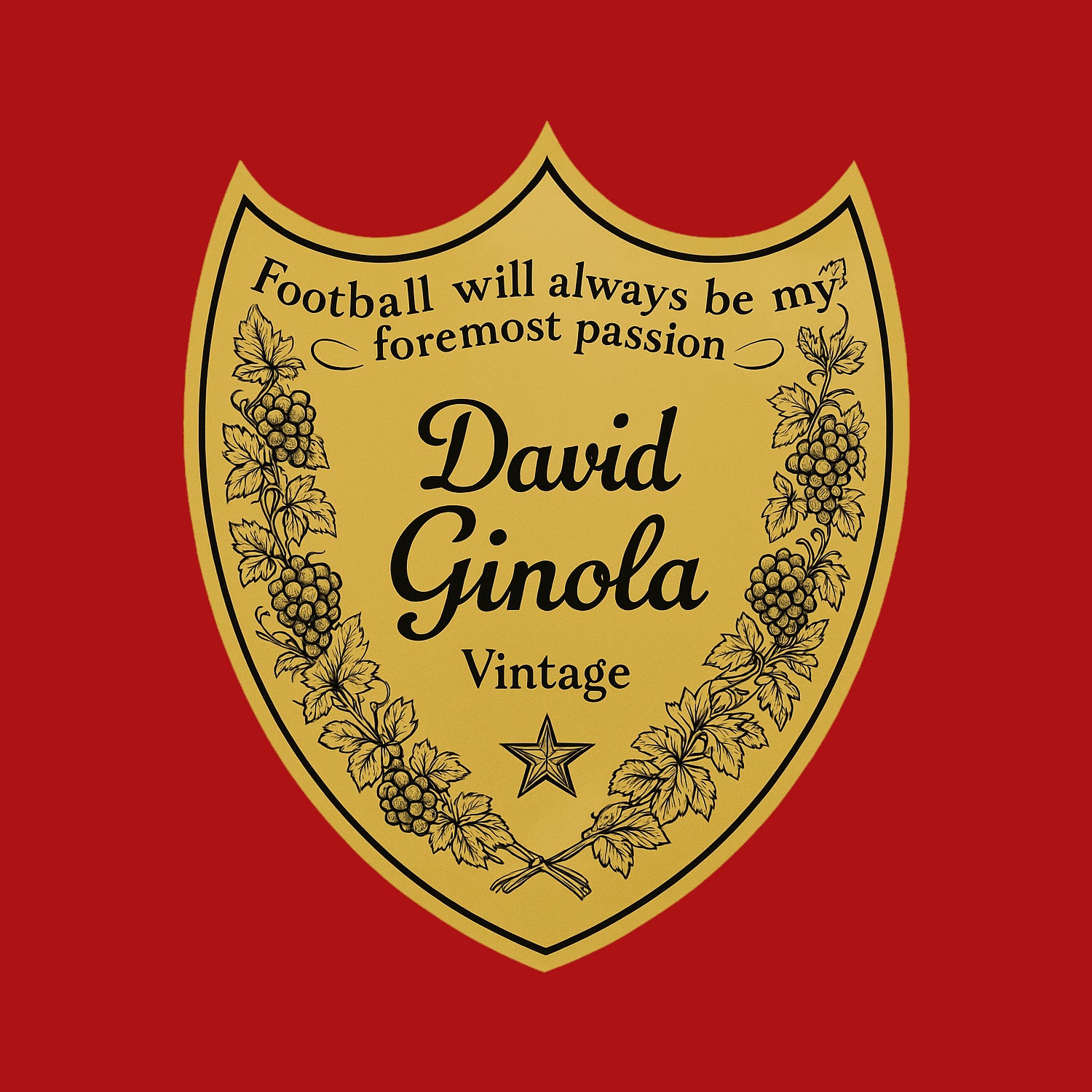 David Ginola Logo Players Couture Men's Casual Hoodie