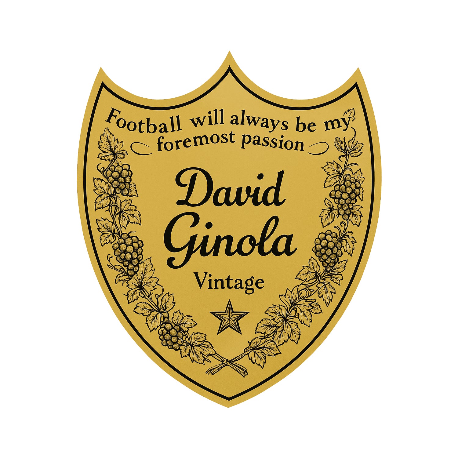 David Ginola Logo Players Couture Men's Casual Hoodie