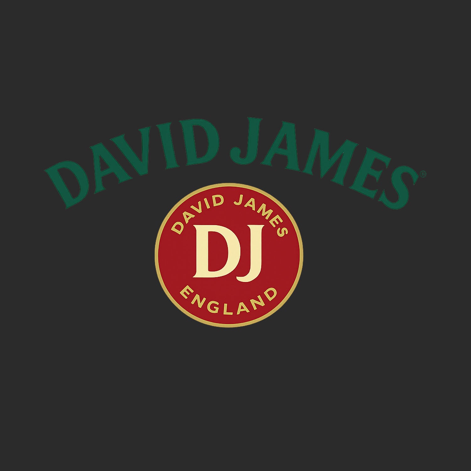 David James Logo Players Couture Men's Casual Hoodie