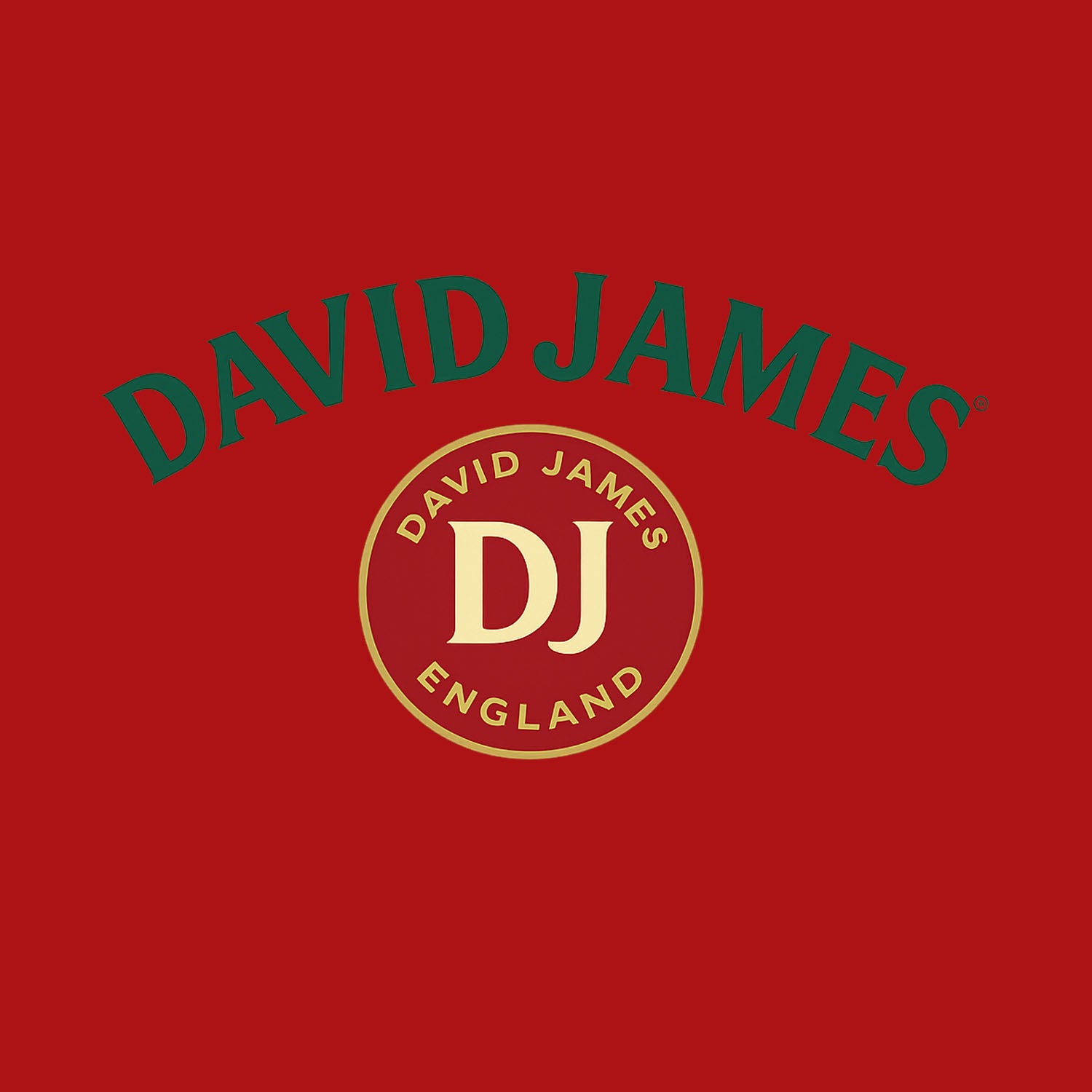 David James Logo Players Couture Men's Casual Hoodie