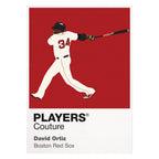 David Ortiz Red Sox Baseball Icon Frame - Icon Design