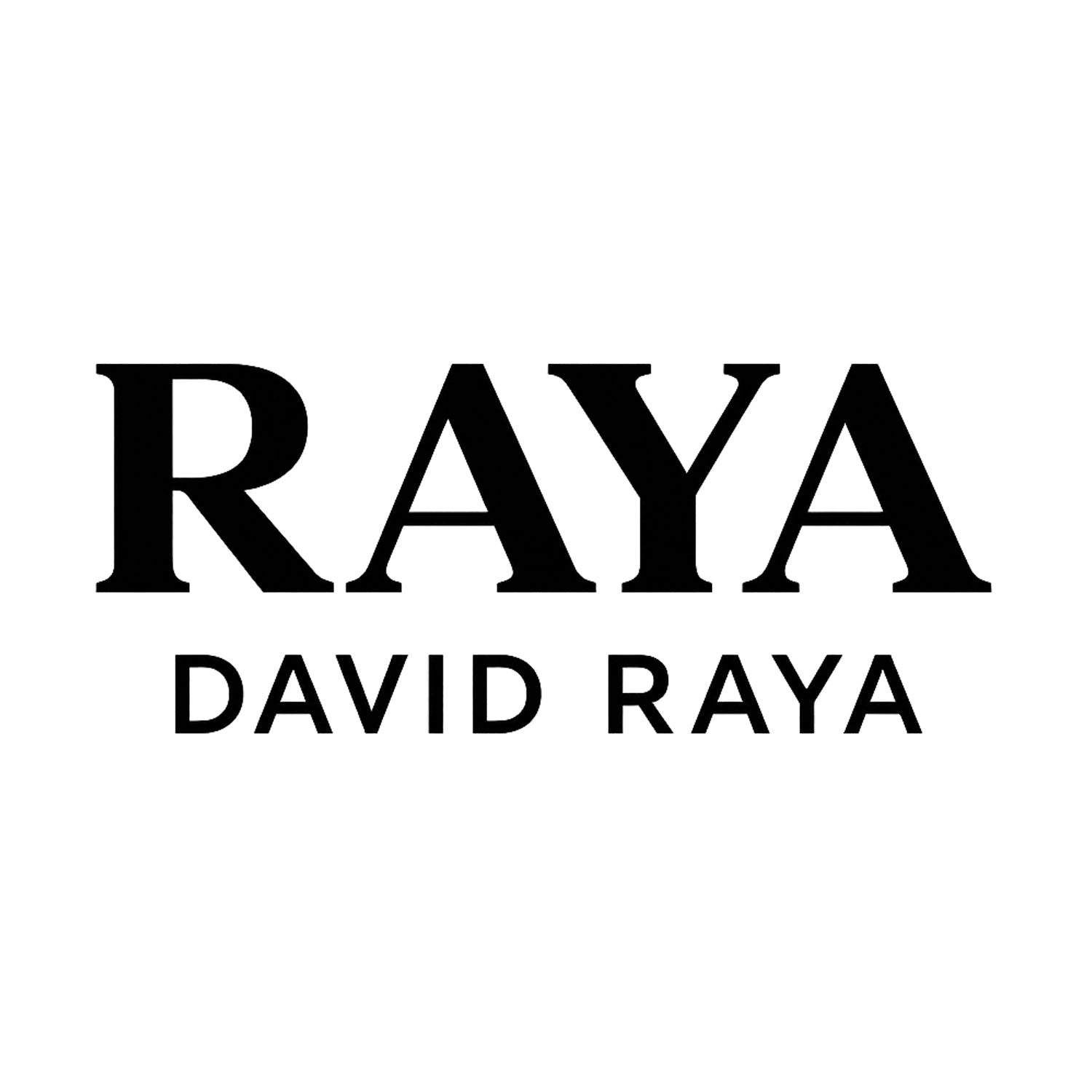 David Raya Logo Players Couture Men's T-Shirt