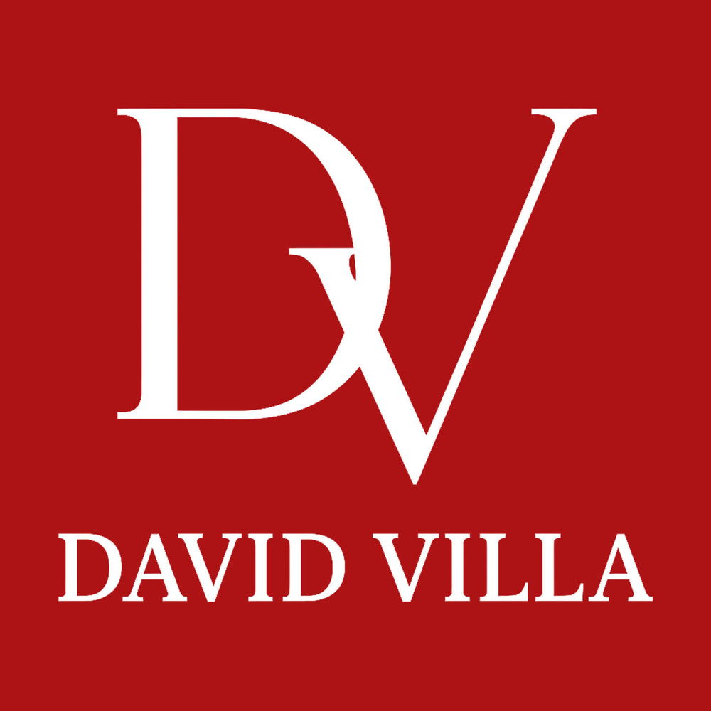 David Villa Logo Players Couture Men's Casual Hoodie